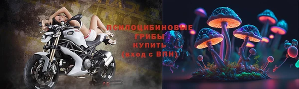 прущие крисы Абинск