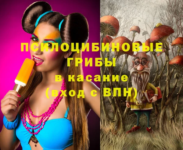 PSILOCYBIN Алексеевка