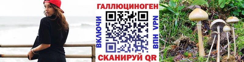 Псилоцибиновые грибы мухоморы Ясный