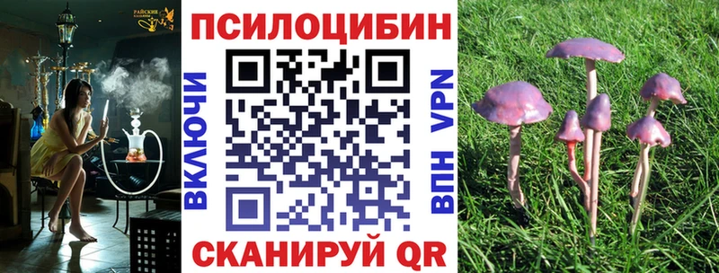 Галлюциногенные грибы Psilocybe  купить  сайты  Ясный 